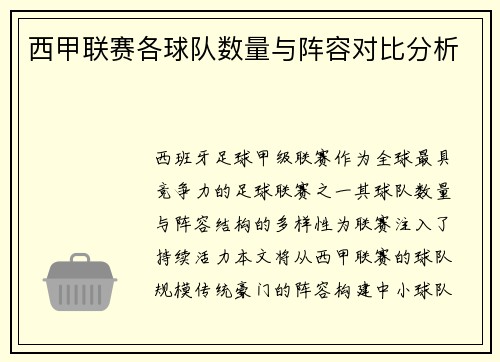 西甲联赛各球队数量与阵容对比分析