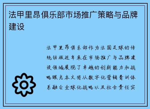 法甲里昂俱乐部市场推广策略与品牌建设
